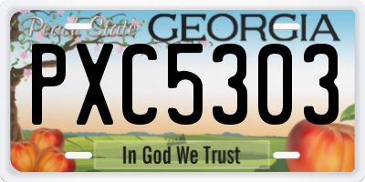 GA license plate PXC5303