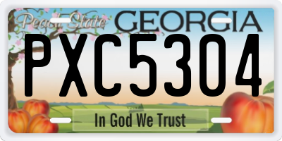 GA license plate PXC5304
