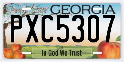 GA license plate PXC5307