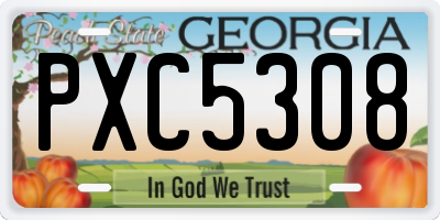 GA license plate PXC5308
