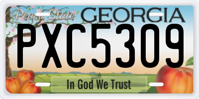 GA license plate PXC5309
