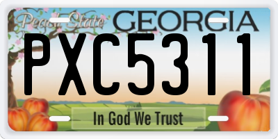 GA license plate PXC5311