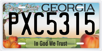 GA license plate PXC5315