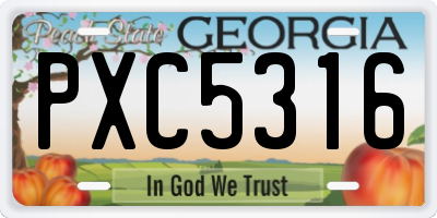 GA license plate PXC5316