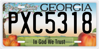 GA license plate PXC5318