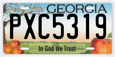 GA license plate PXC5319