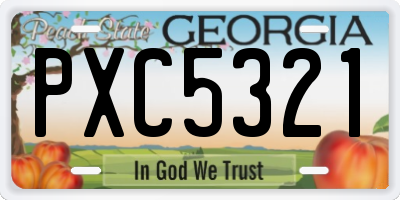 GA license plate PXC5321