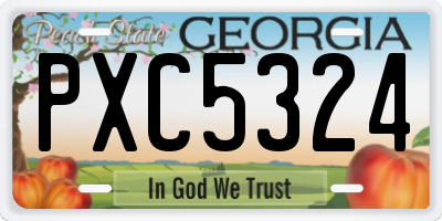 GA license plate PXC5324