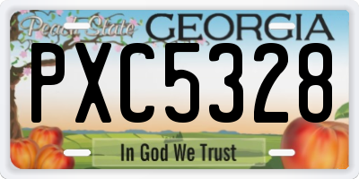 GA license plate PXC5328