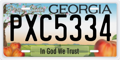 GA license plate PXC5334