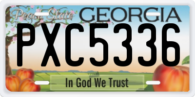 GA license plate PXC5336