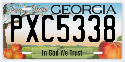 GA license plate PXC5338