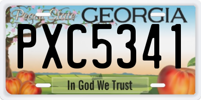 GA license plate PXC5341