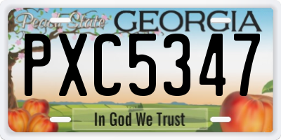 GA license plate PXC5347