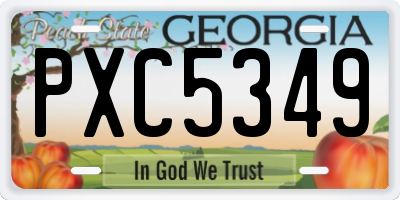 GA license plate PXC5349