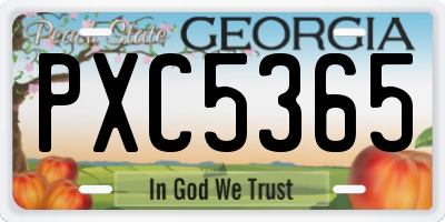 GA license plate PXC5365