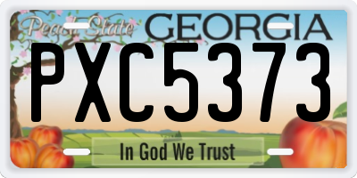 GA license plate PXC5373