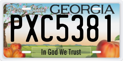 GA license plate PXC5381