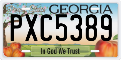 GA license plate PXC5389