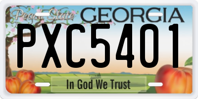 GA license plate PXC5401