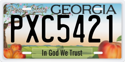 GA license plate PXC5421