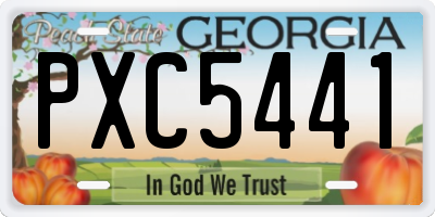 GA license plate PXC5441