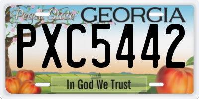 GA license plate PXC5442