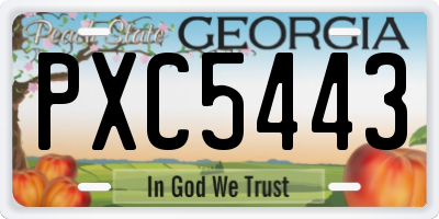 GA license plate PXC5443