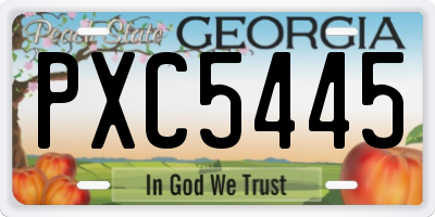 GA license plate PXC5445