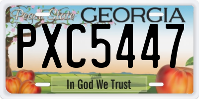 GA license plate PXC5447