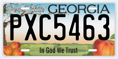 GA license plate PXC5463