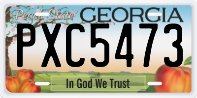 GA license plate PXC5473
