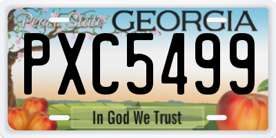 GA license plate PXC5499