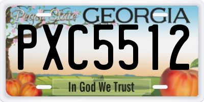 GA license plate PXC5512