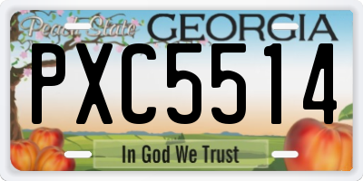 GA license plate PXC5514