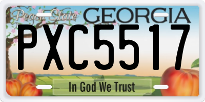 GA license plate PXC5517