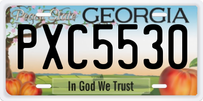 GA license plate PXC5530