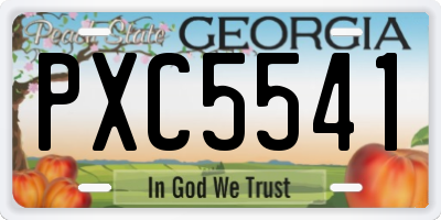 GA license plate PXC5541