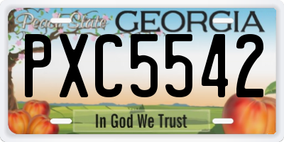 GA license plate PXC5542