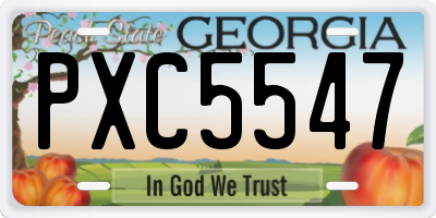 GA license plate PXC5547