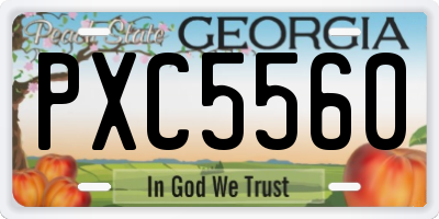 GA license plate PXC5560