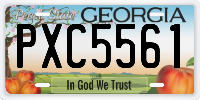 GA license plate PXC5561