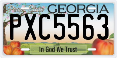 GA license plate PXC5563