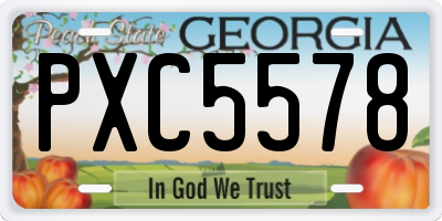 GA license plate PXC5578