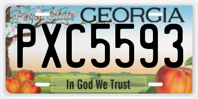 GA license plate PXC5593