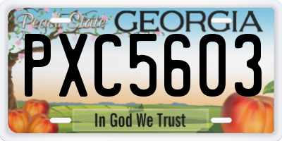 GA license plate PXC5603