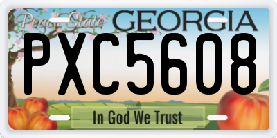 GA license plate PXC5608
