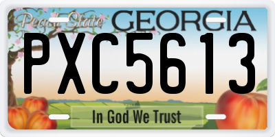 GA license plate PXC5613