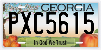 GA license plate PXC5615
