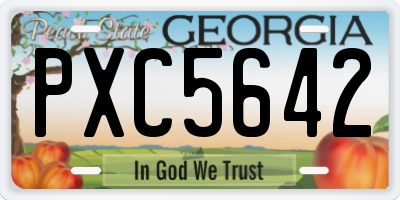 GA license plate PXC5642